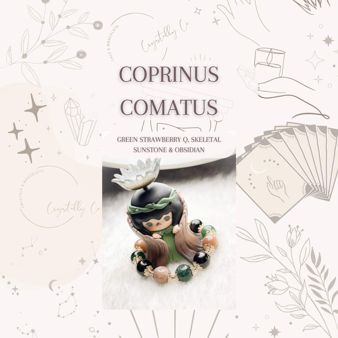 COPRINUS COMATUS